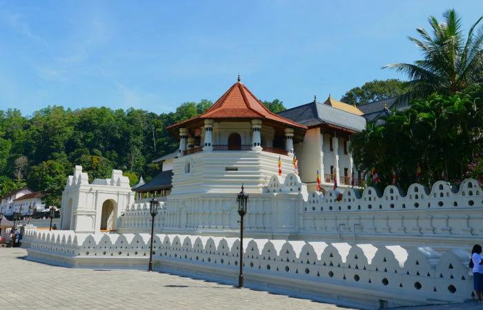 5 Day Tour Packages in sri lanka